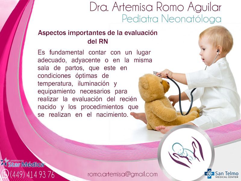 Artemisa Romo Aguilar-1