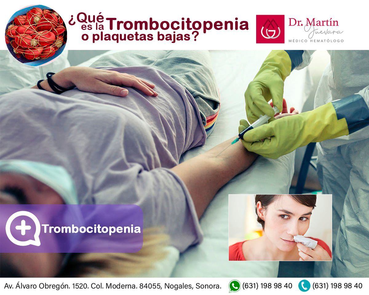 Martín Bernabé Guevara Ochoa-9