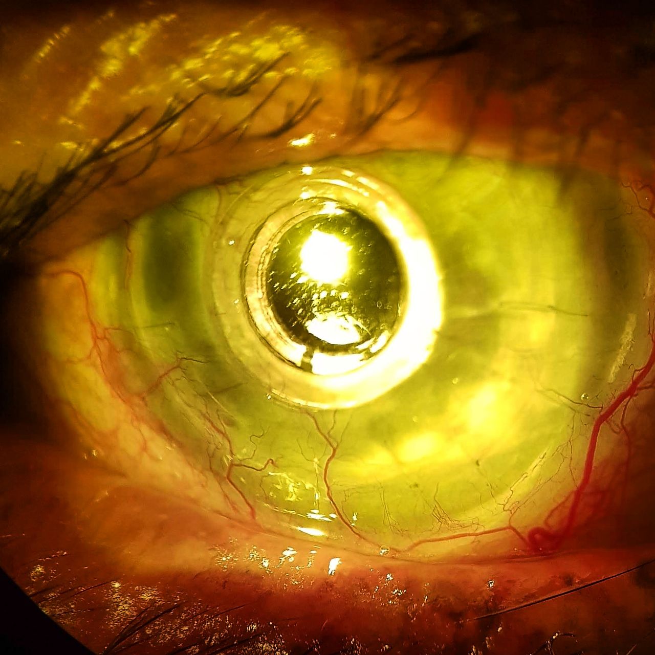 Rocío Escárcega Servín-8