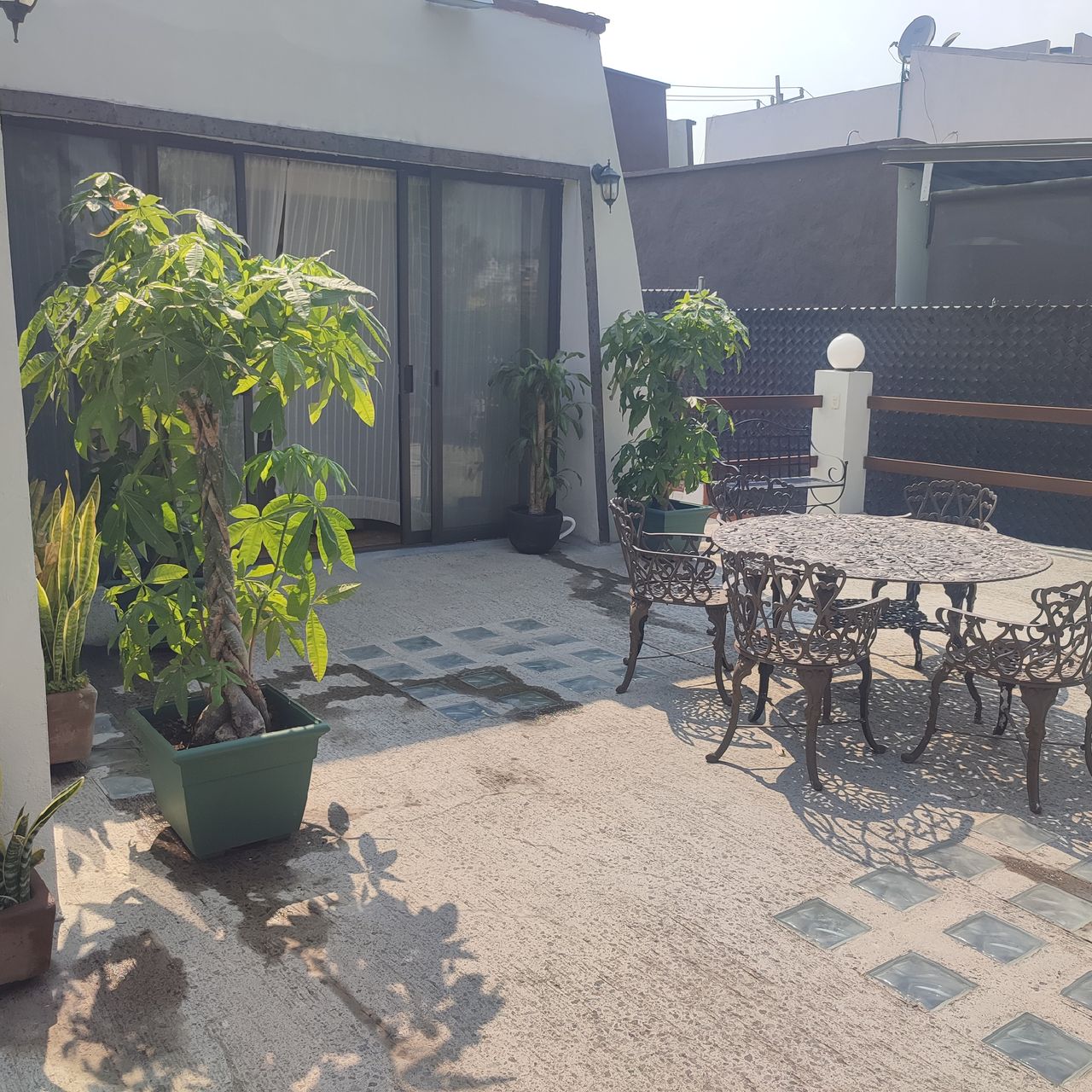 Rodolfo Uribe Millares-14