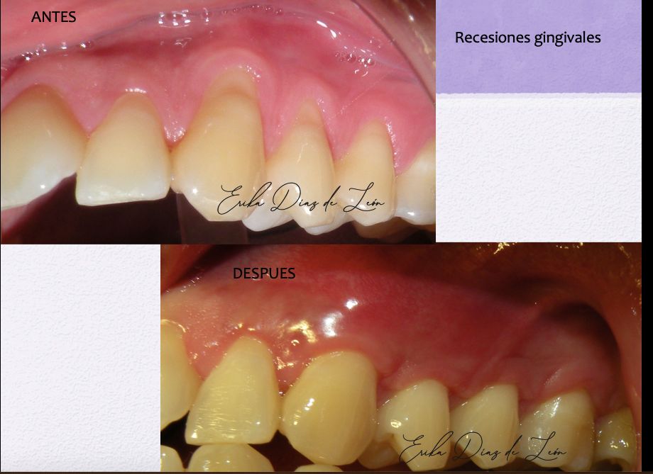 Erika Díaz De León Torres-13