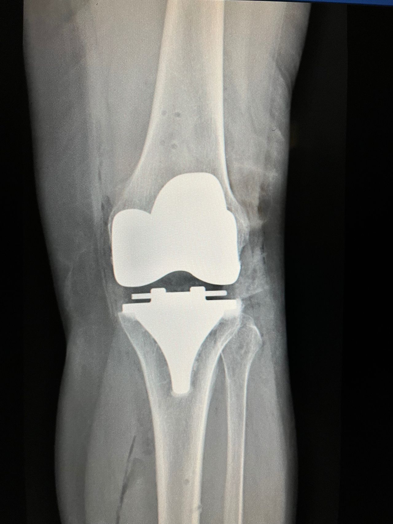 Alejandra Fuentes Martínez-21