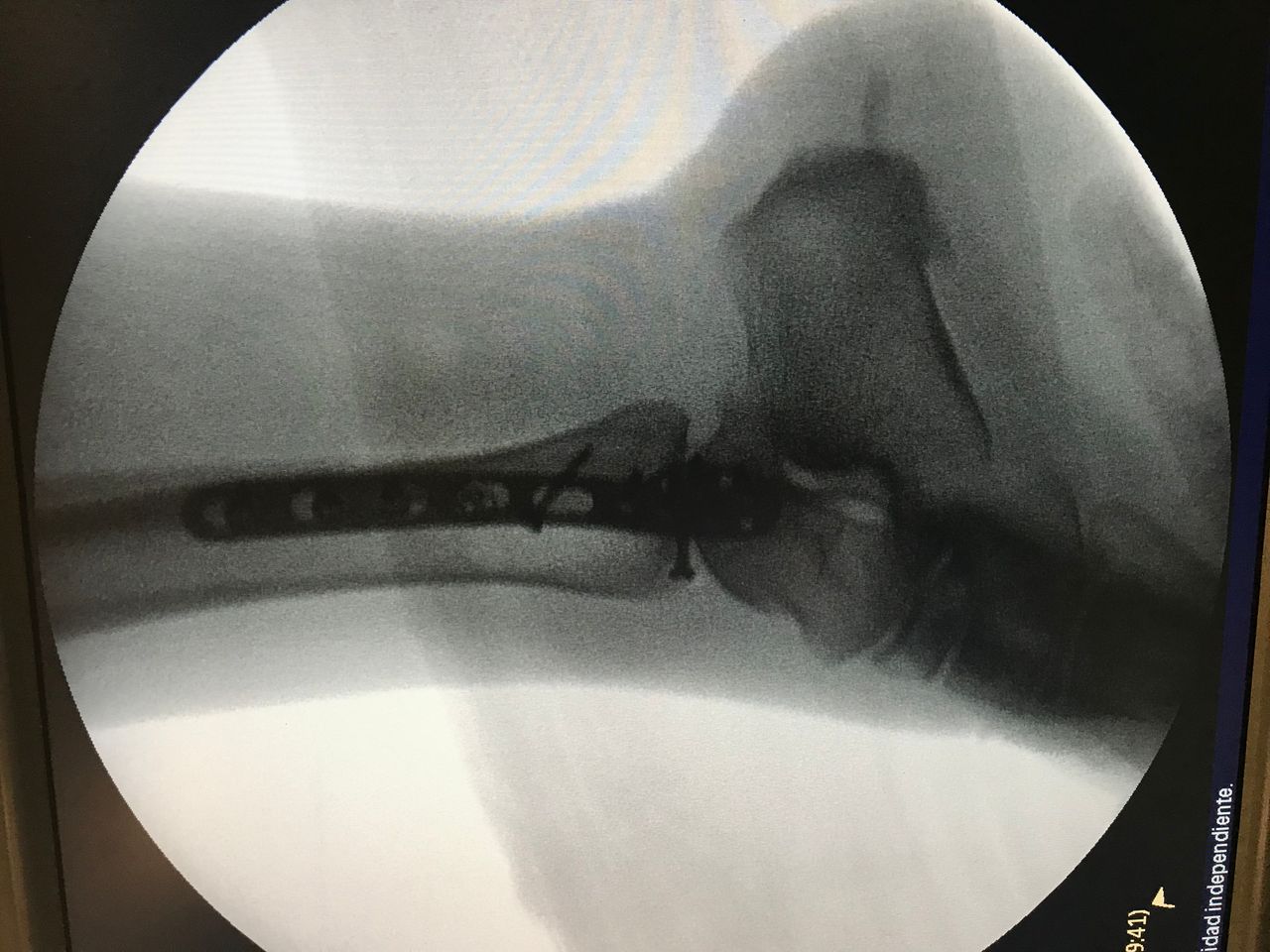 Gustavo E Ramirez Reyna-6