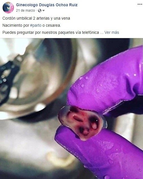 Miguel Douglas Ochoa Ruiz-4