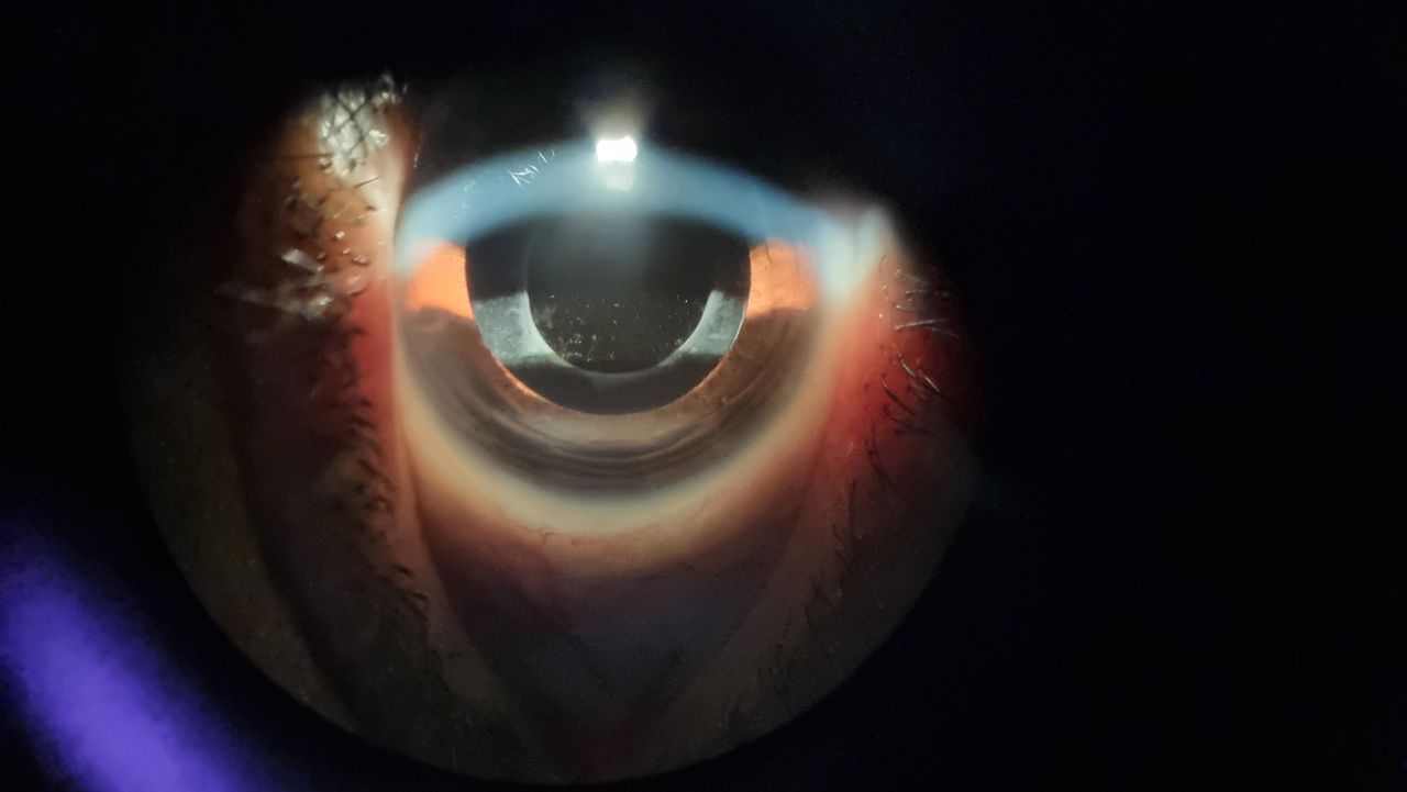 Iliana Peñaloza Román-7