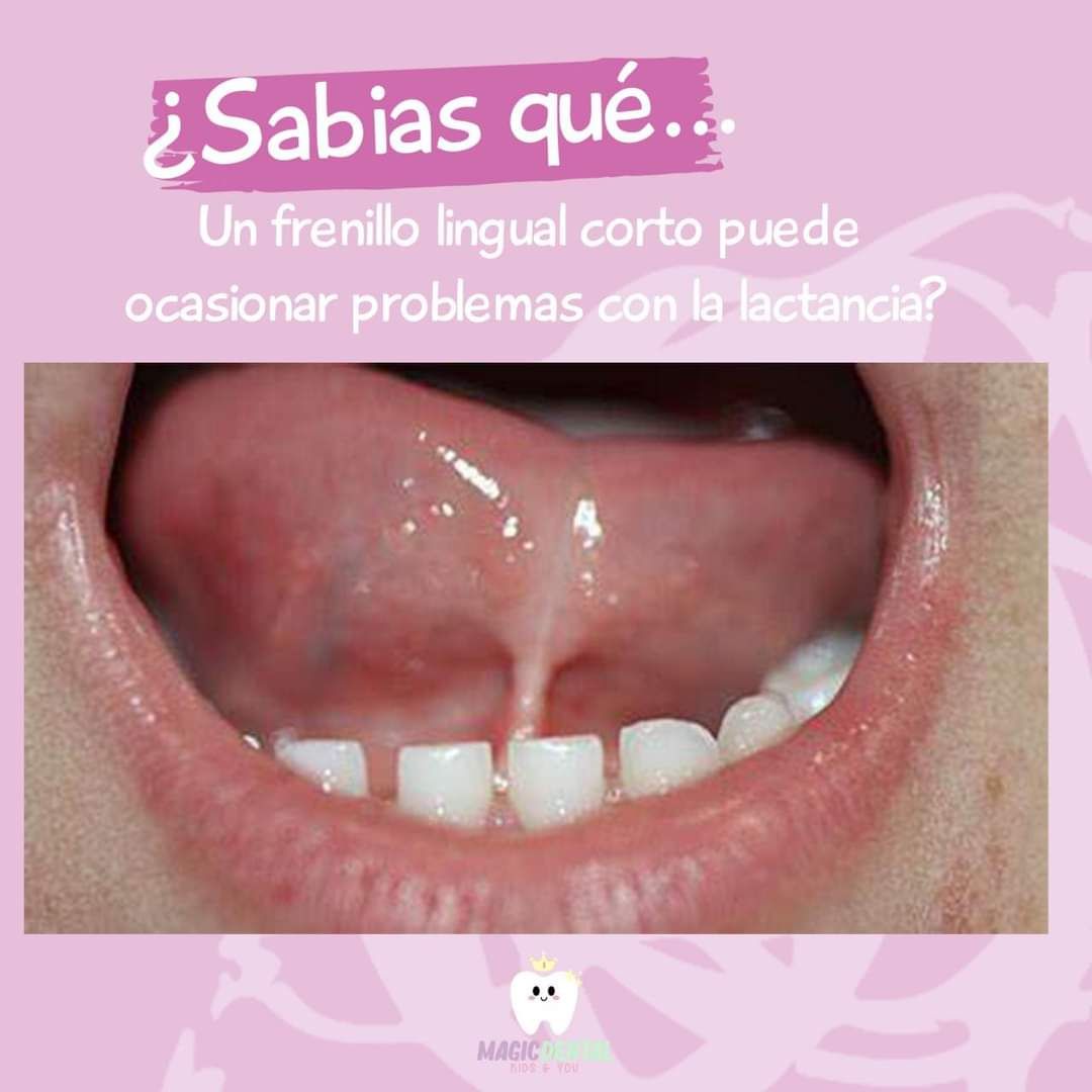 Silvia S. Medina Ponce-15