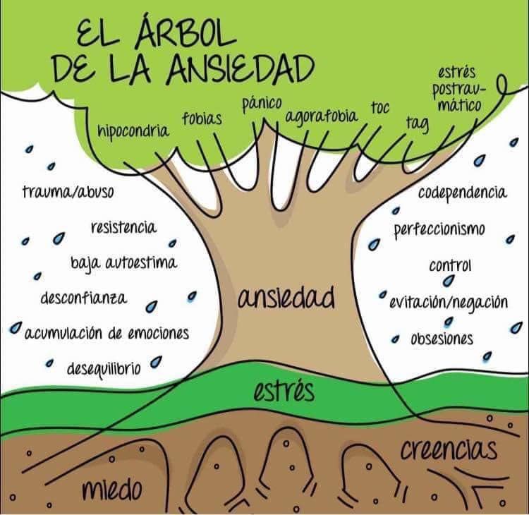 Ricardo Enrique Pech-George-25