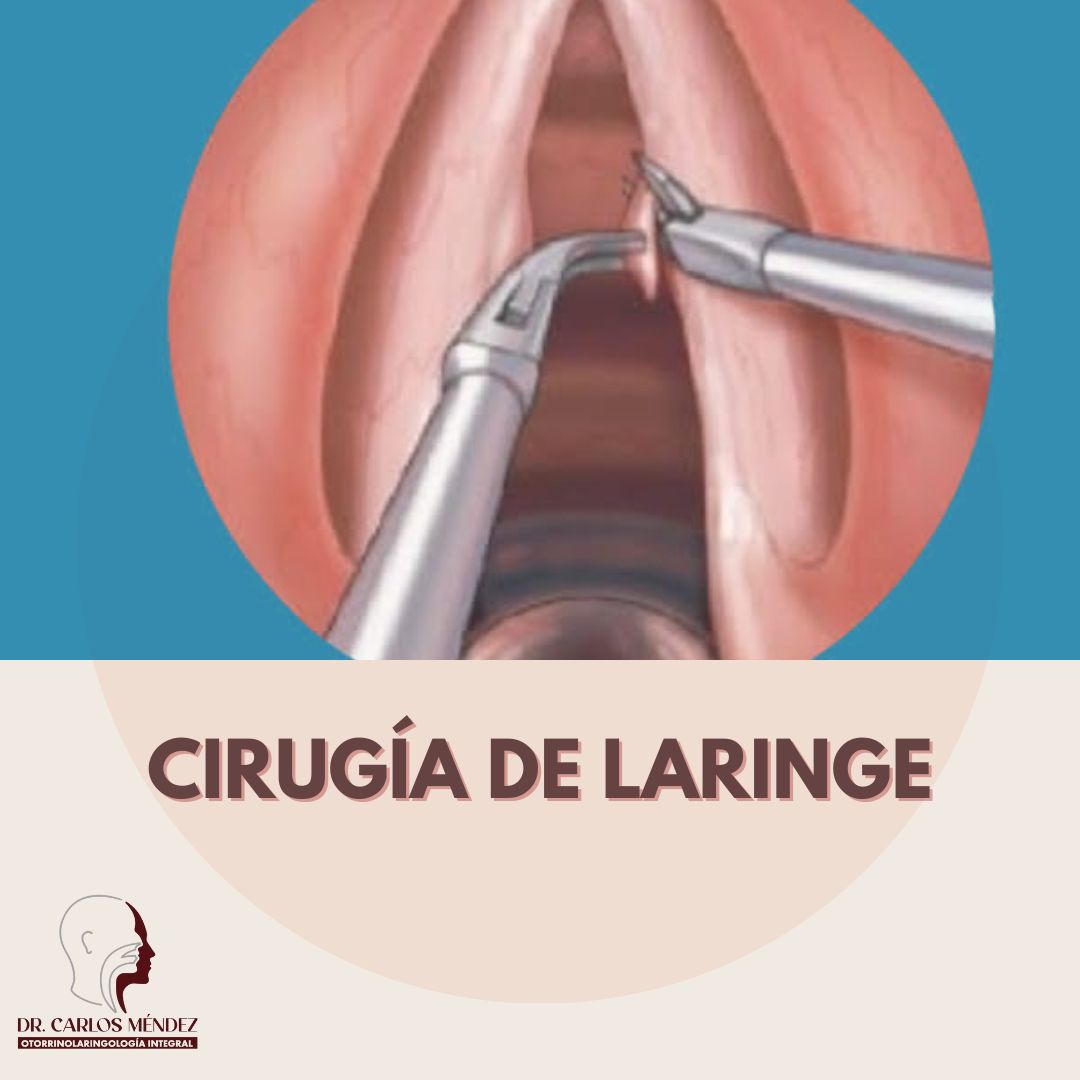 Juan Carlos Mendez Gutierrez-38