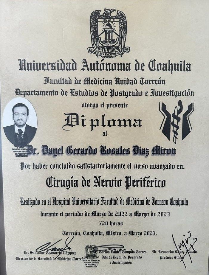 Dayel Gerardo Rosales Díaz Mirón-11