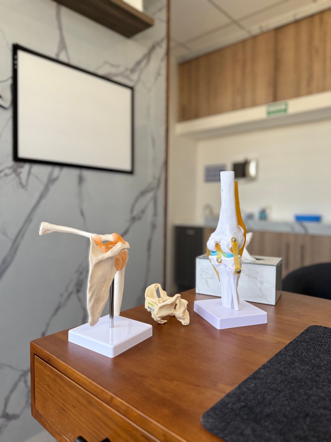 Diana Cañas Alcocer-6