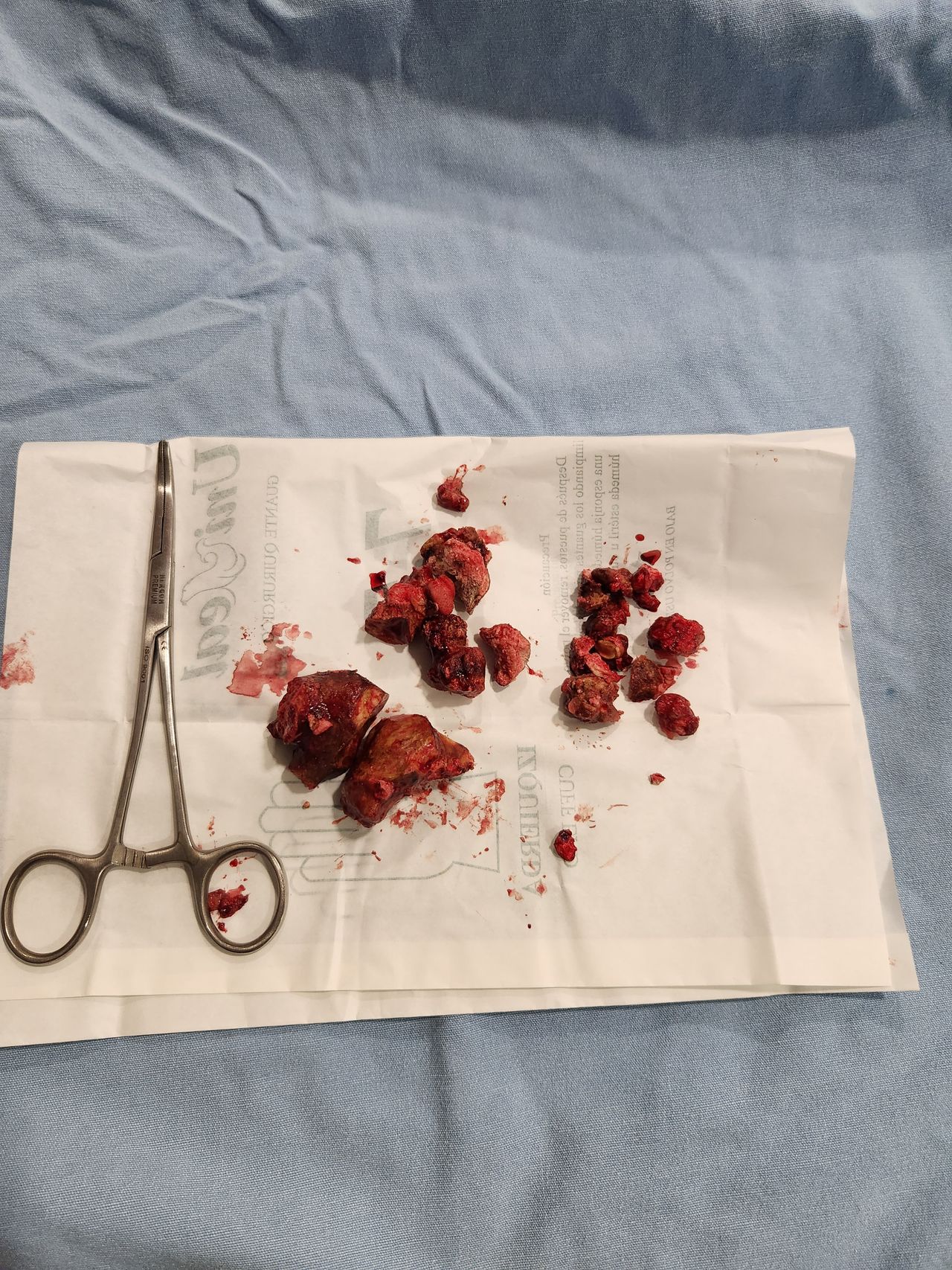 Miguel Angel Rascón Gómez-5