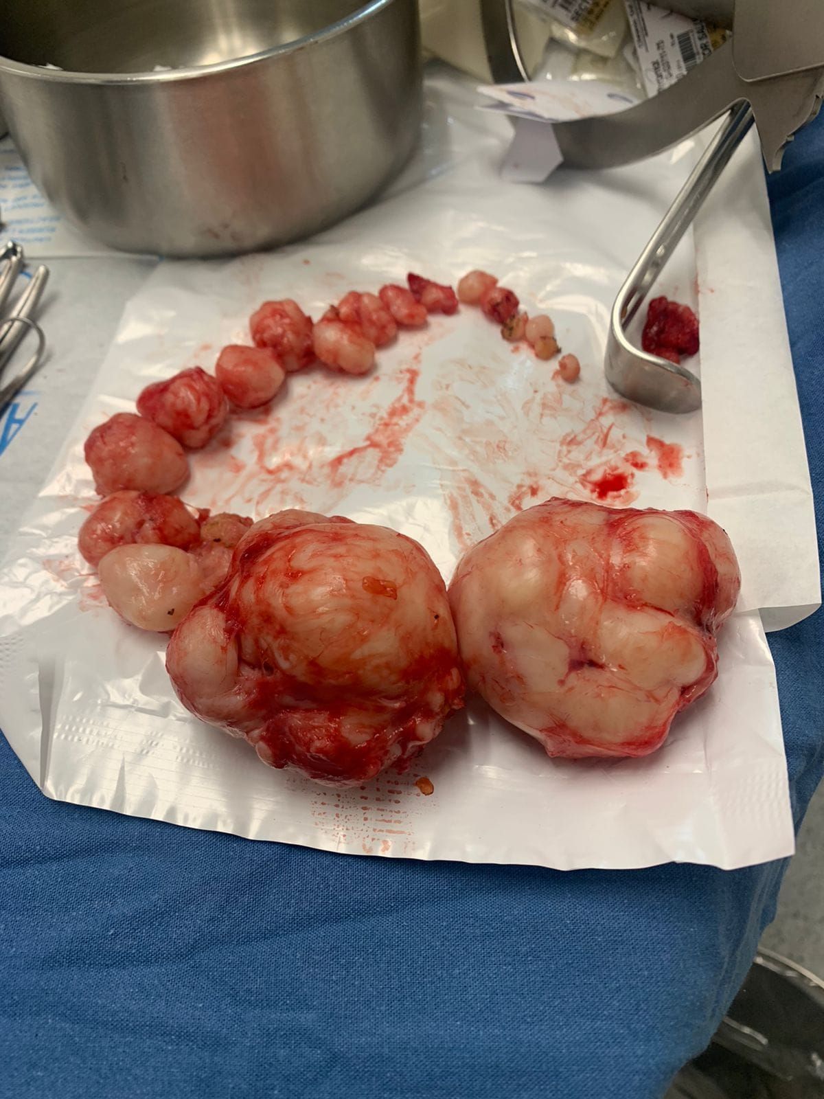 Abraham Ignacio Pérez De La Rosa-18