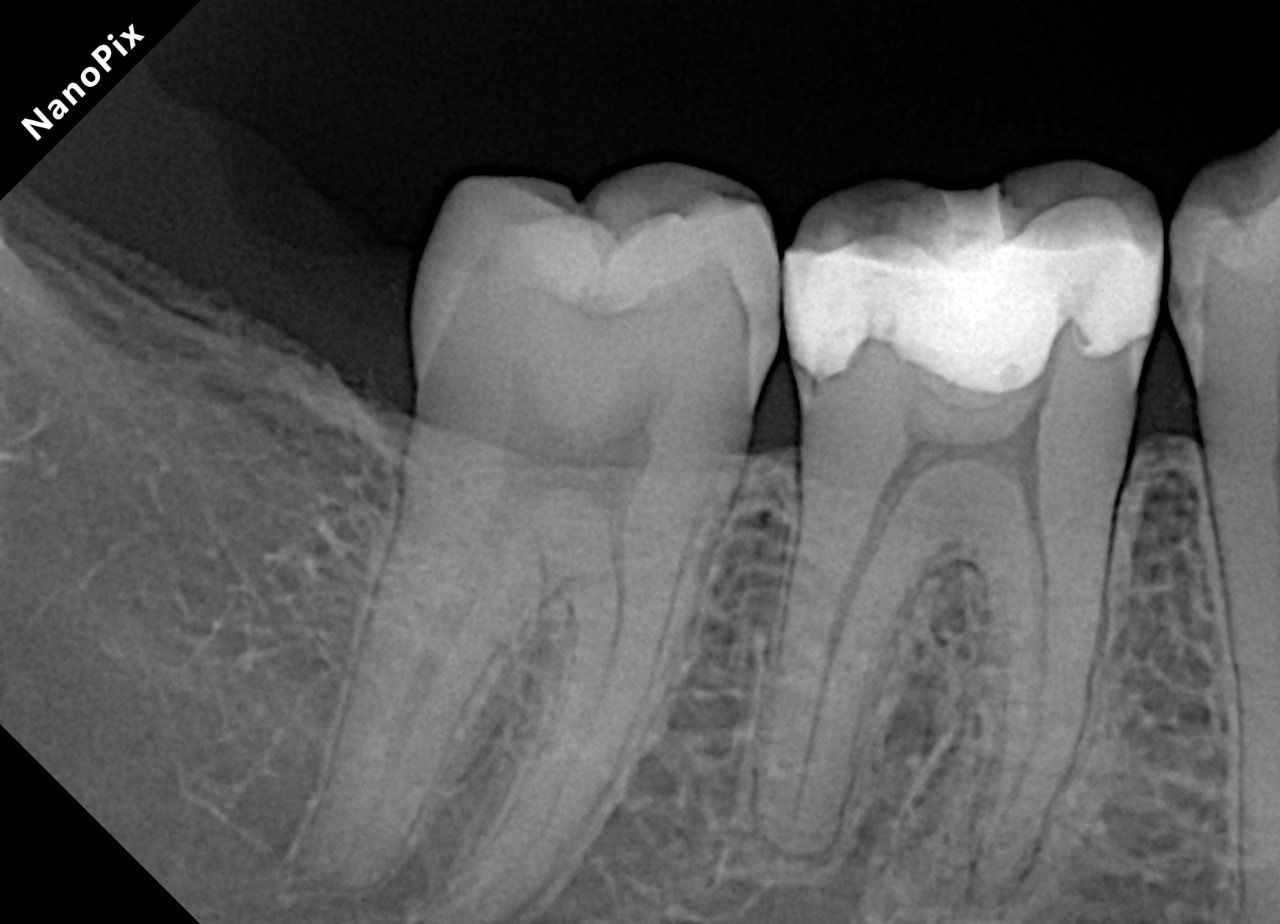 Claudia Isabel Chuc Cool-5