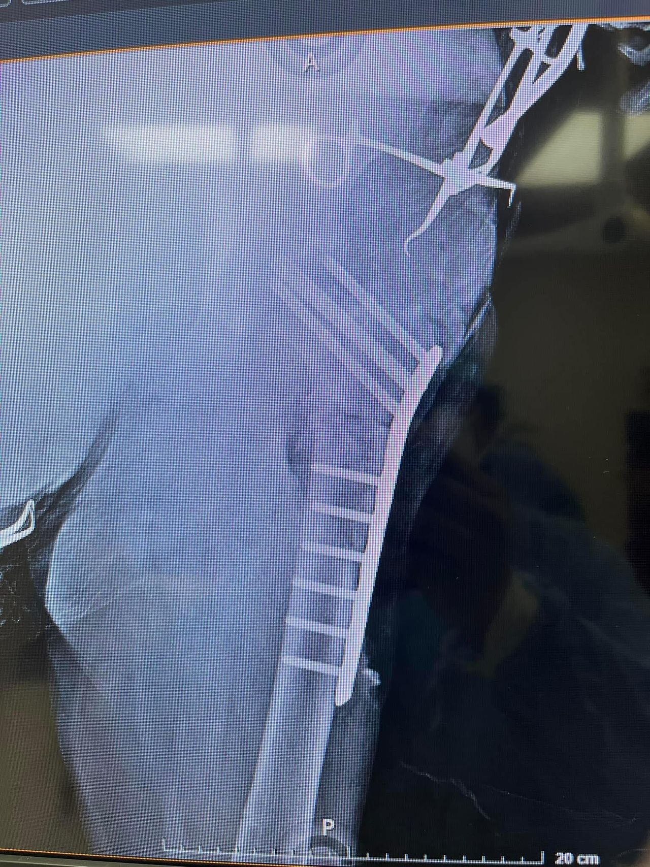 Dante Alejandro Aguilar Díaz-1