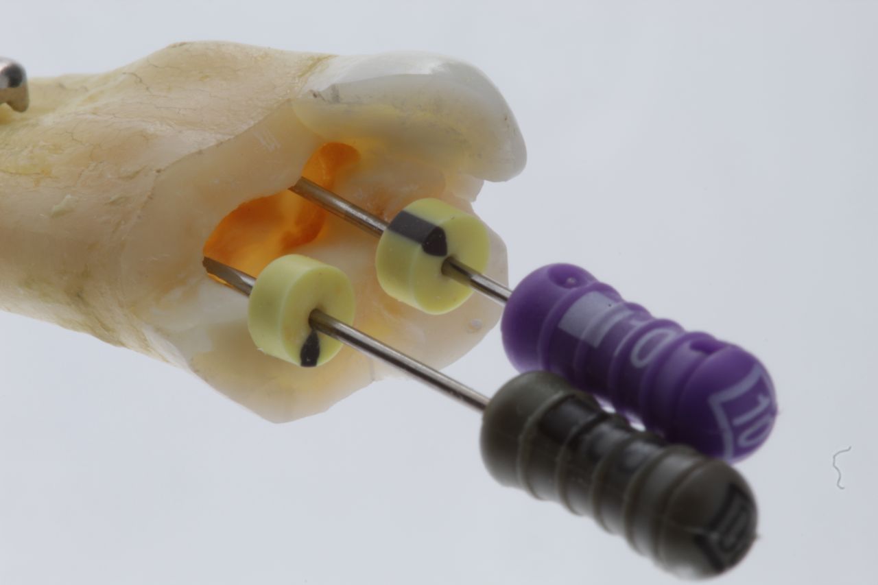 Martha Valeria Barragan Jimenez-6