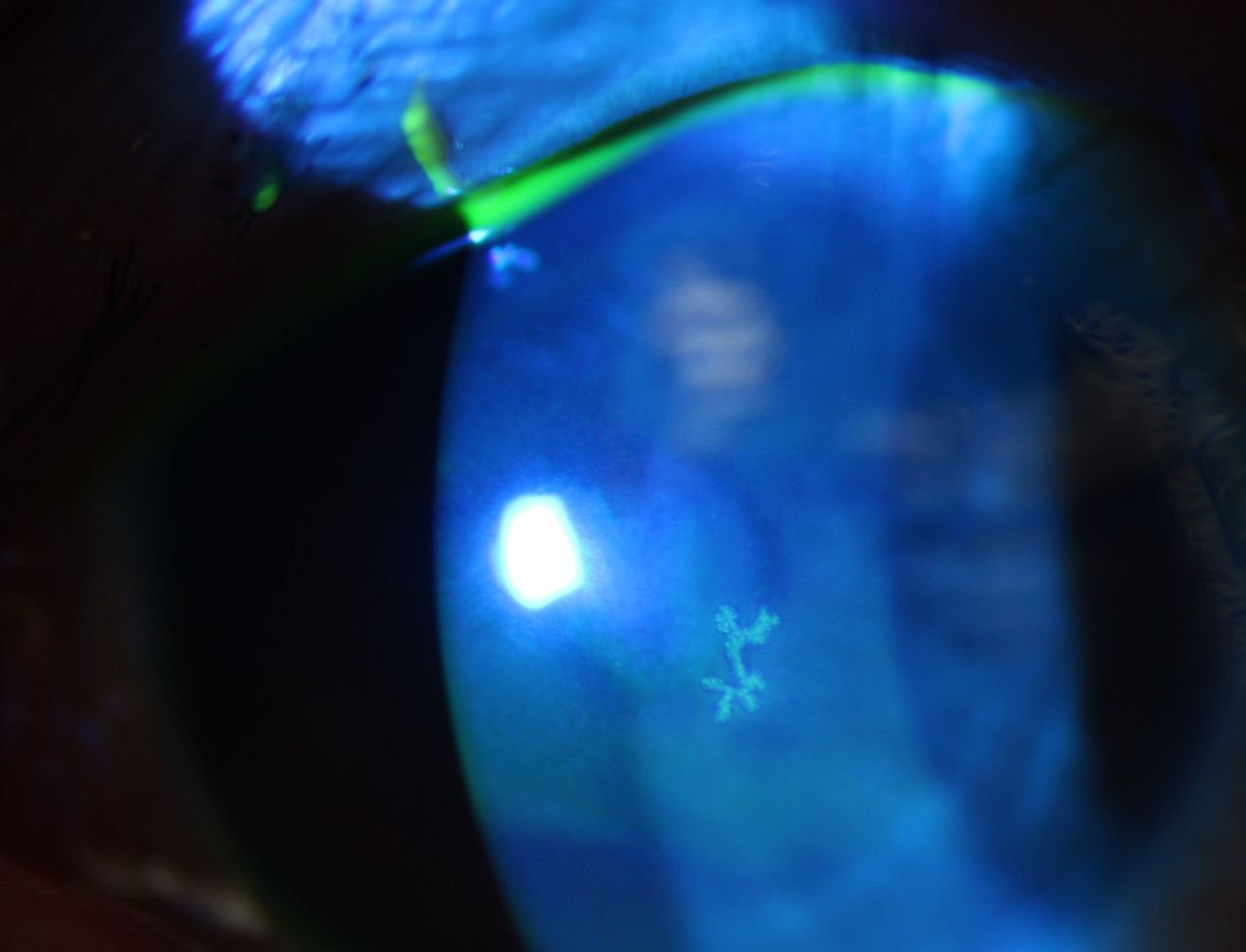 Kalid Barush Hernández Diaz-11