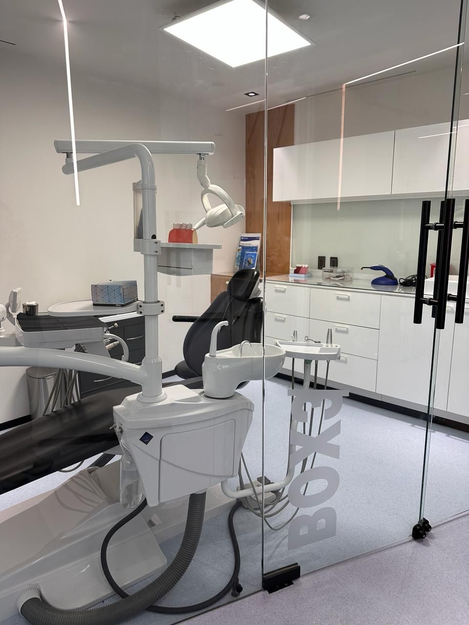 Guadalupe Armillas Canseco-0