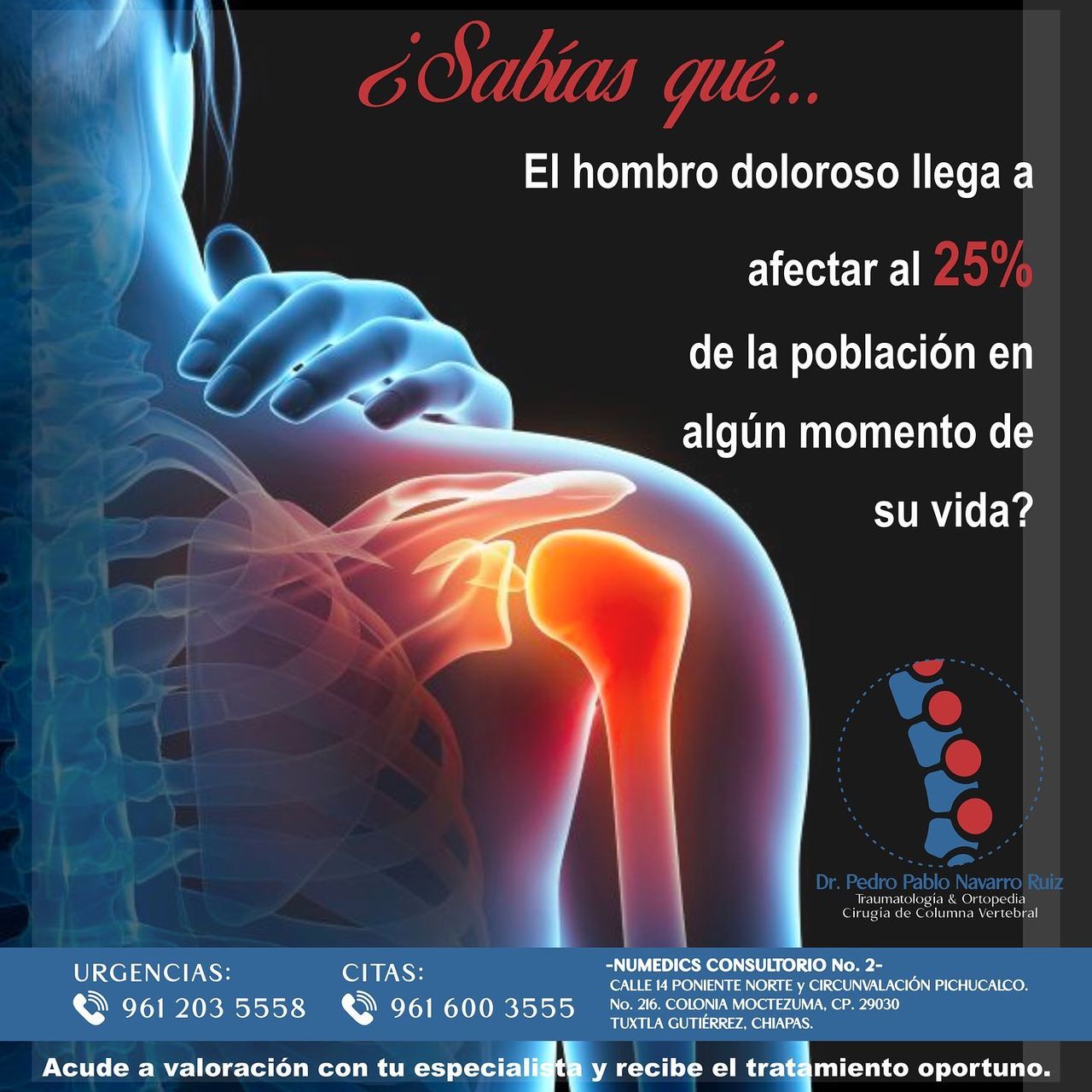 Pedro Pablo Navarro Ruiz-17