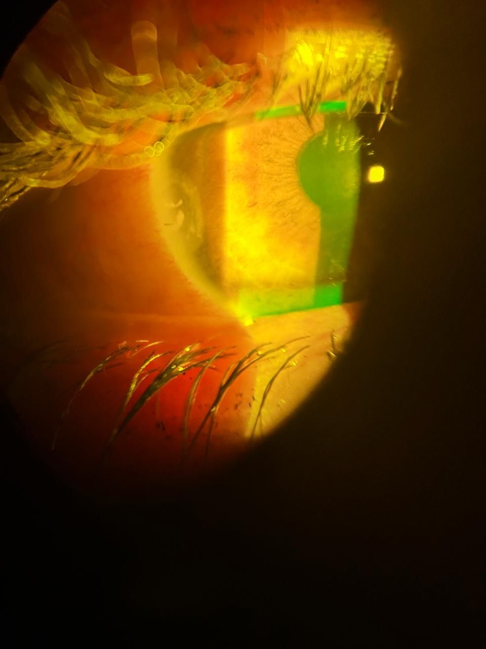 Daniel Martin Laguna Muñoz-18