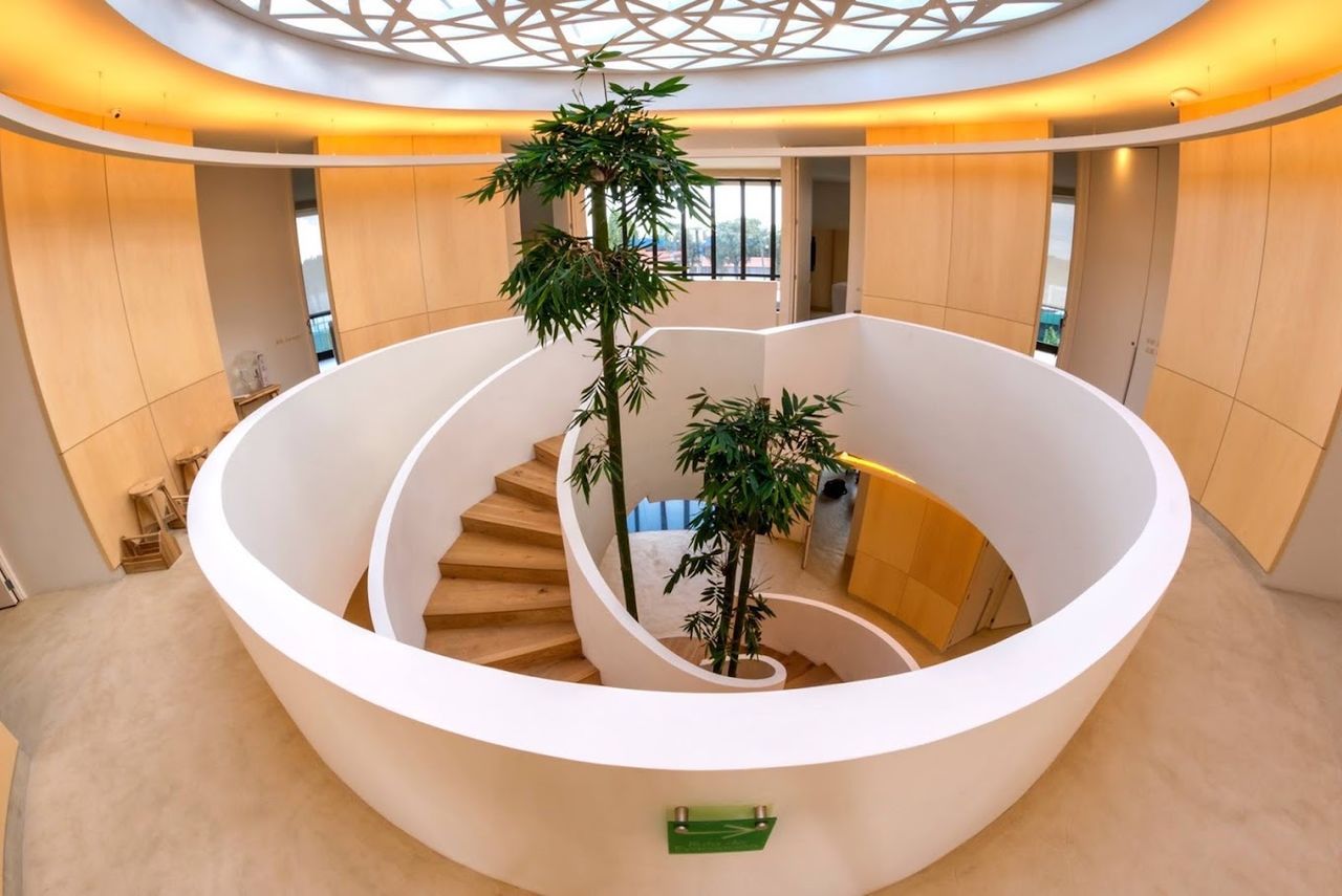 Maria Andrea Muciño Agis-0