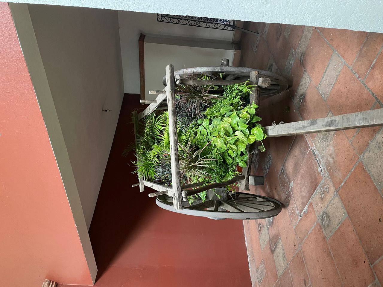 Laura Evia Escalante-3