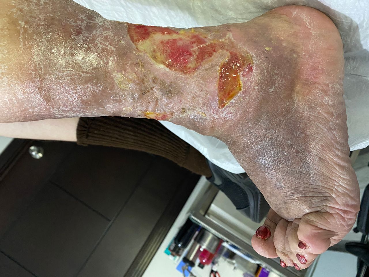 Daniela Oropeza Adame-11