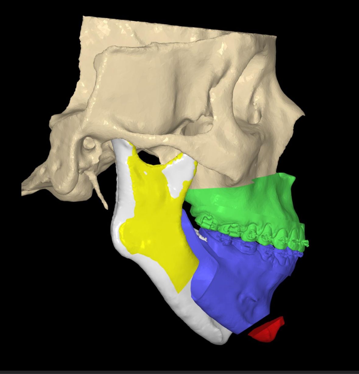 Irlanda Díaz Cardona-15