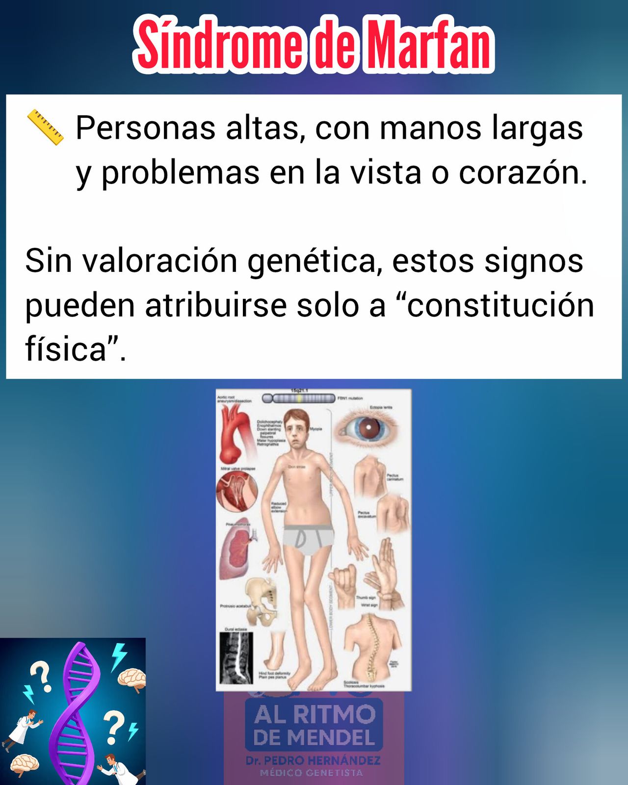 Pedro Luis  Hernández Lima -13