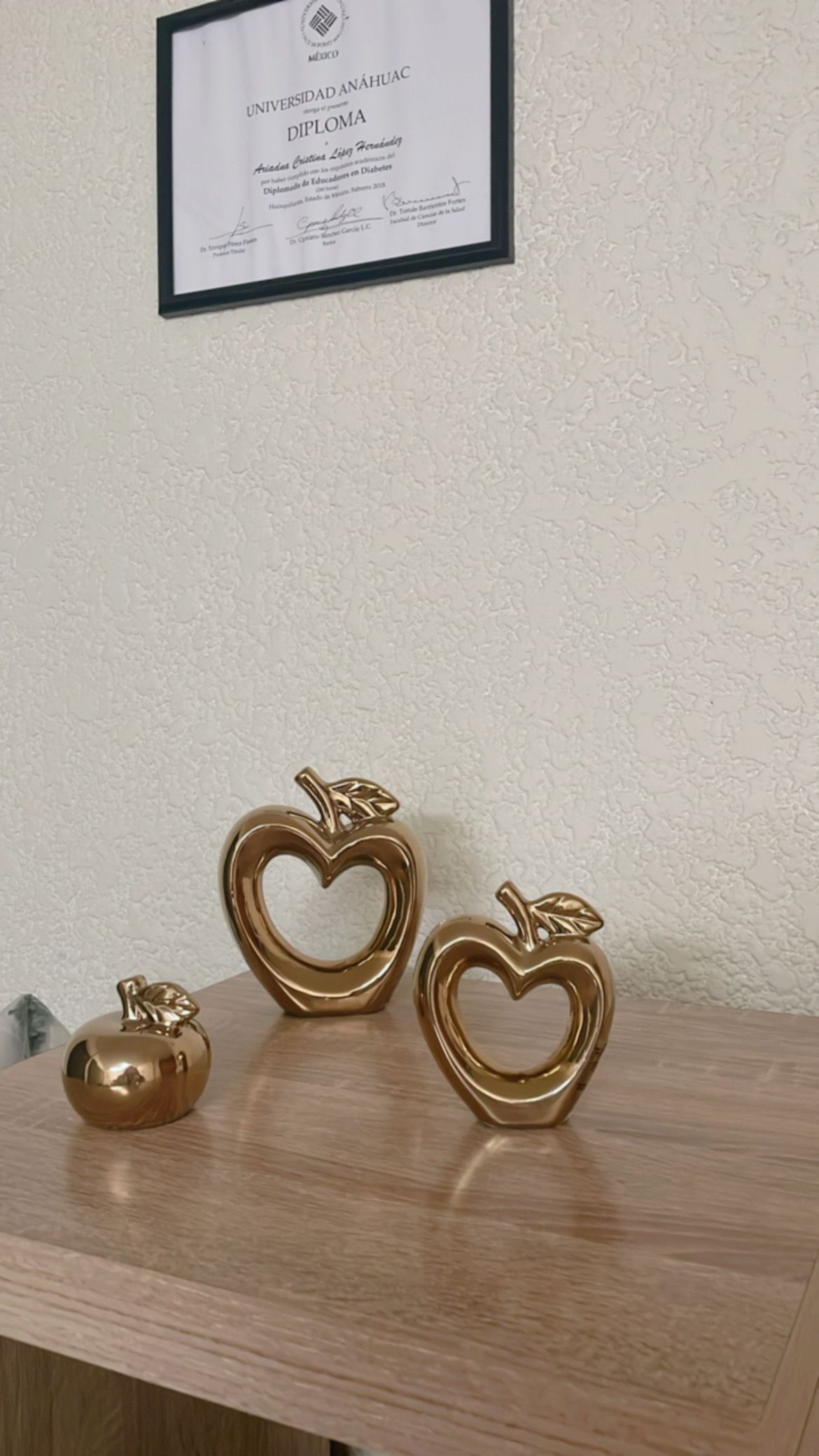 Ariadna Cristina Lopez Hernandez-39