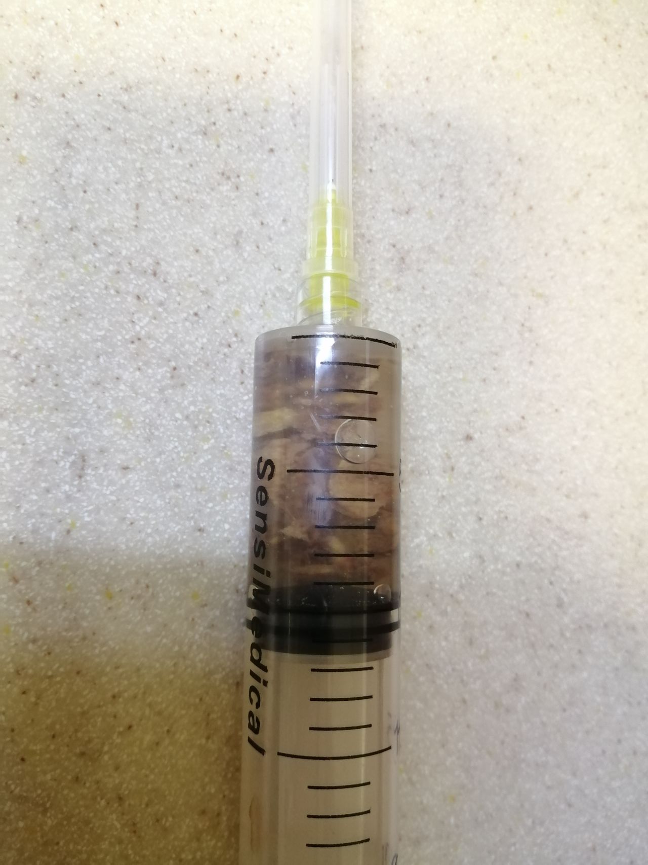 Gustavo Gallegos Sánchez-4