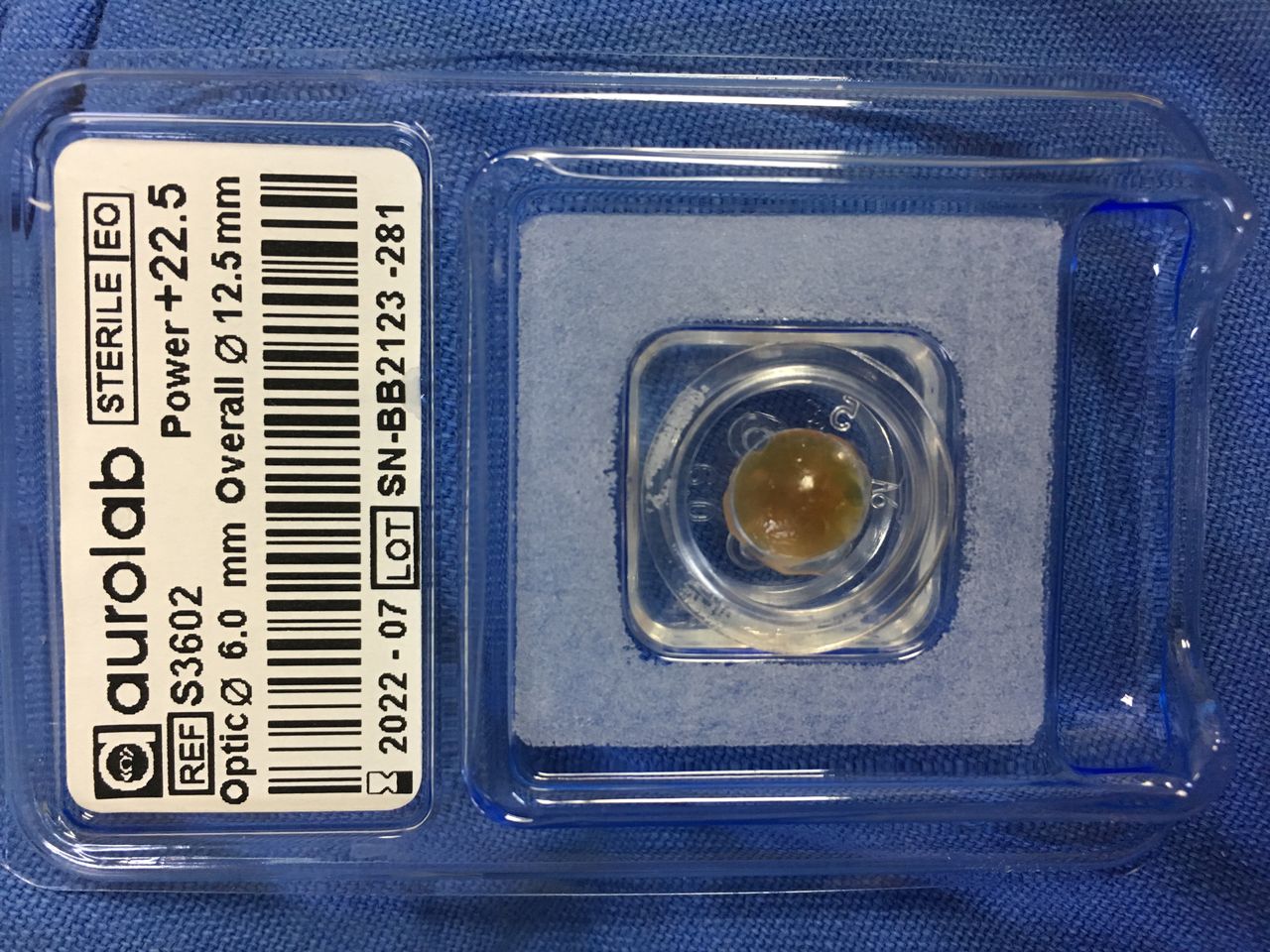 María De Lourdes Ortiz Parra-7