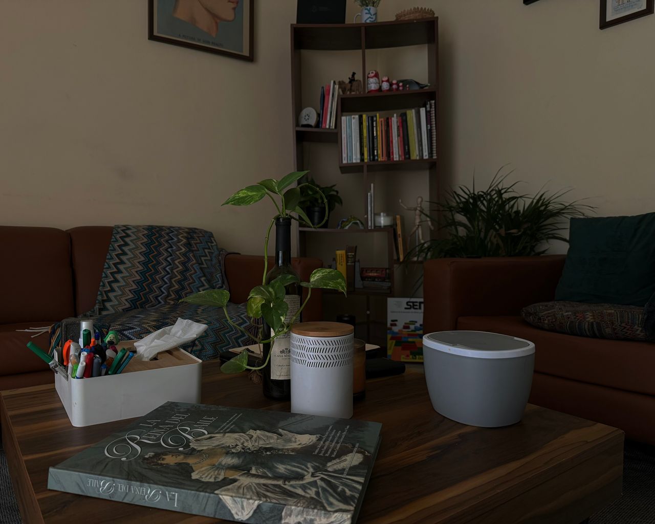 Diana Sofía Velasco Espejo-0