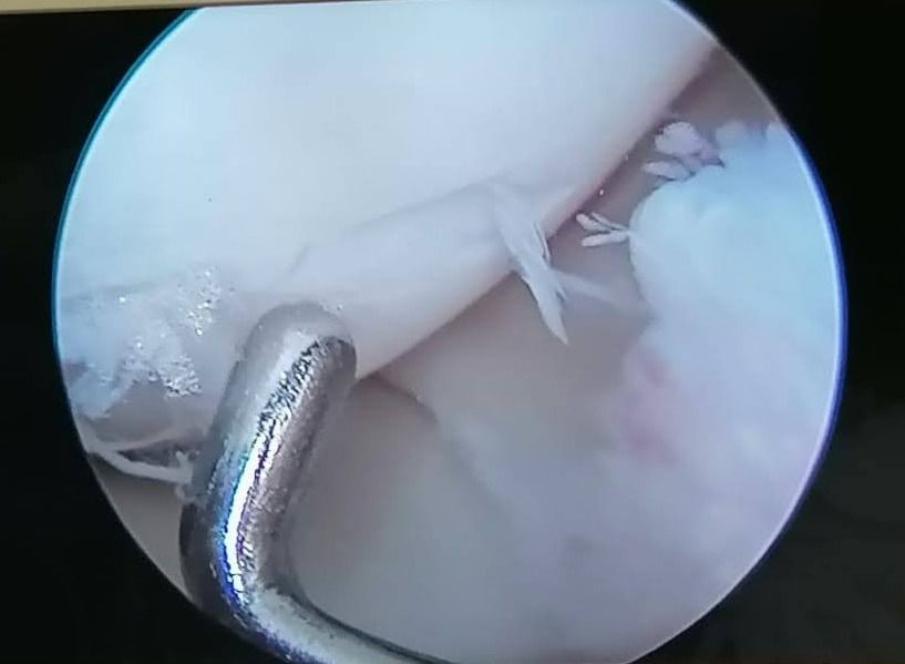 Rubén Rodriguez Acosta-2