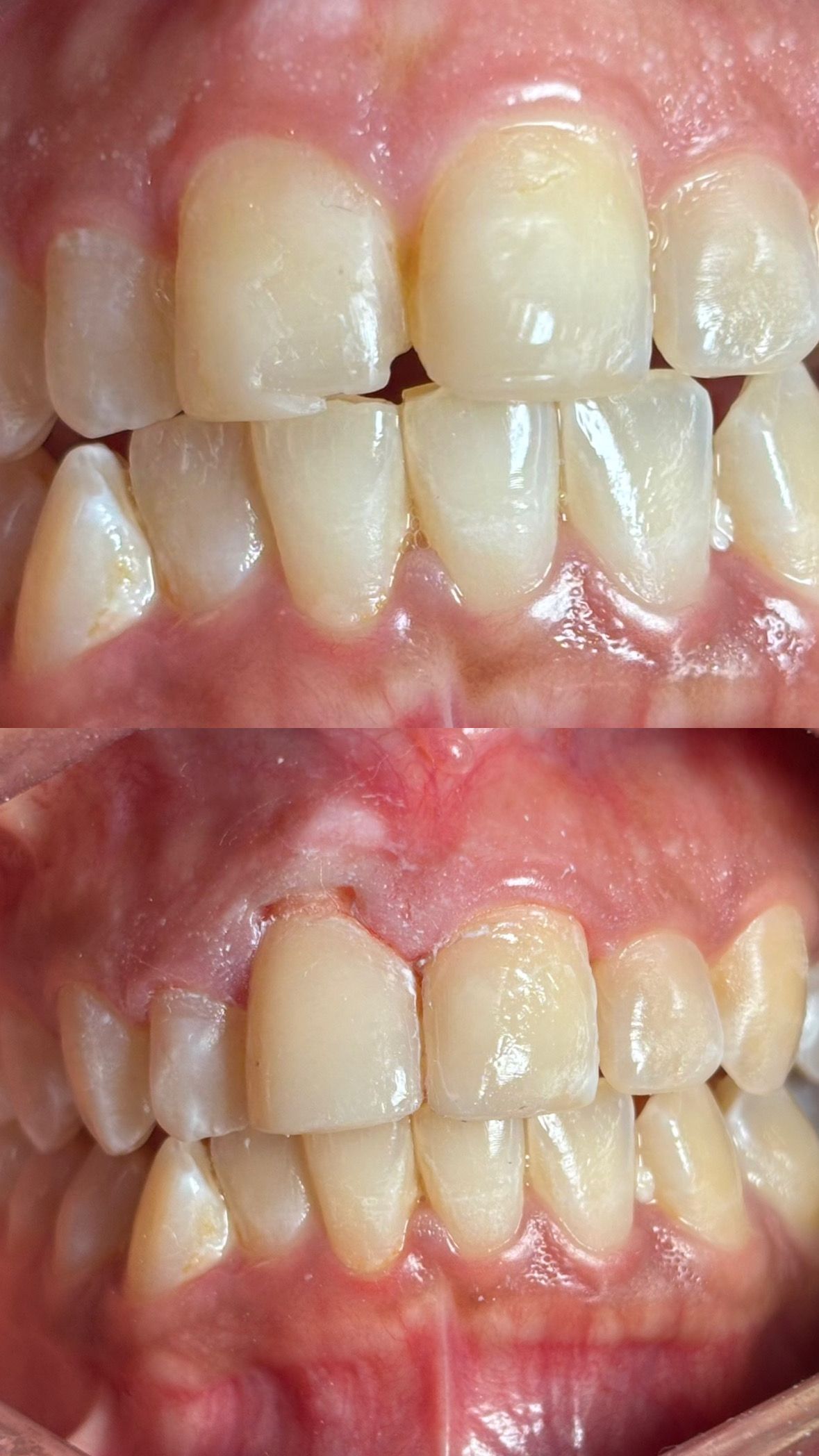 María Paula  Flores Novoa-22