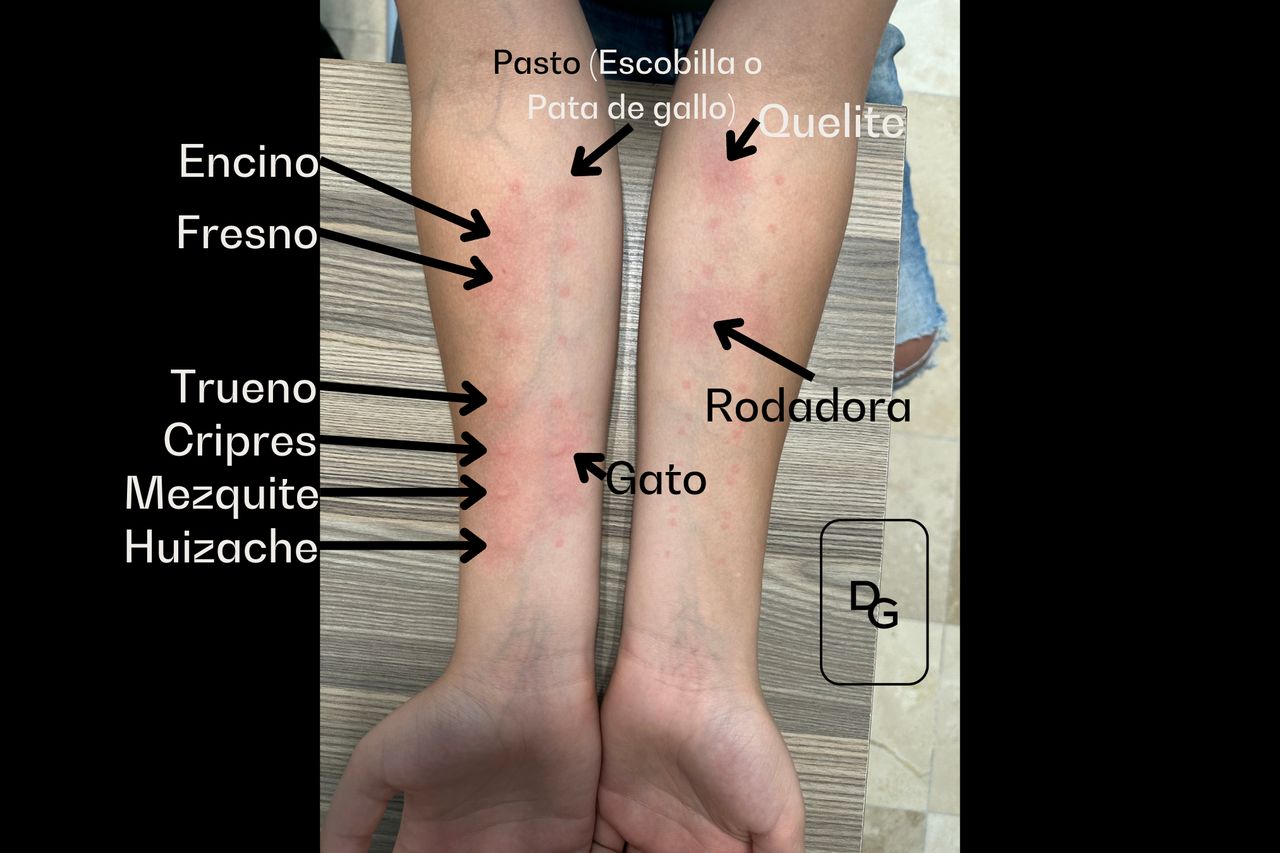 Gerardo López Ponce-6