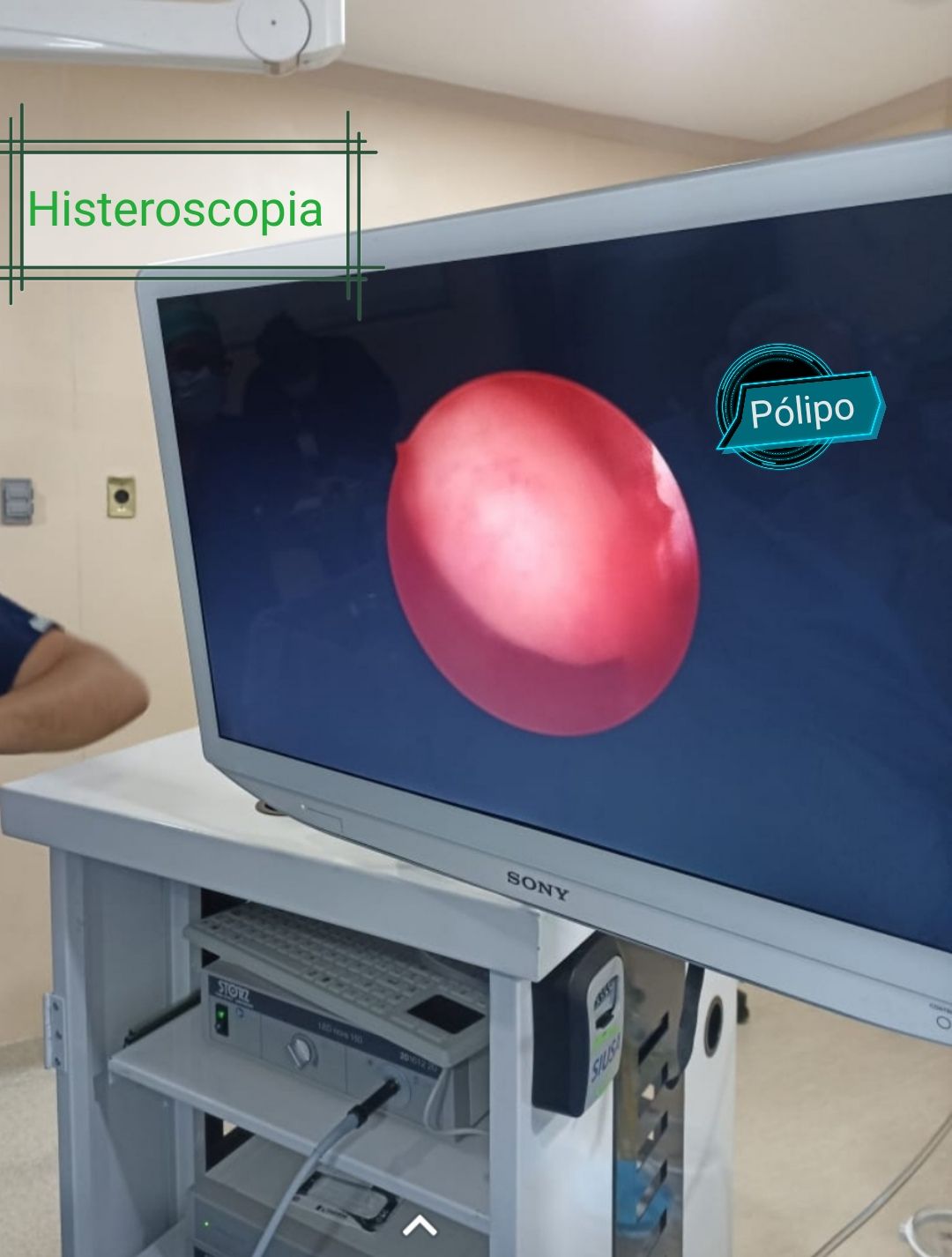 Daniel Pérez Suárez-11