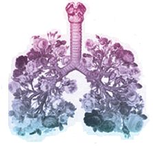 Mónica Fuentes Farías-3