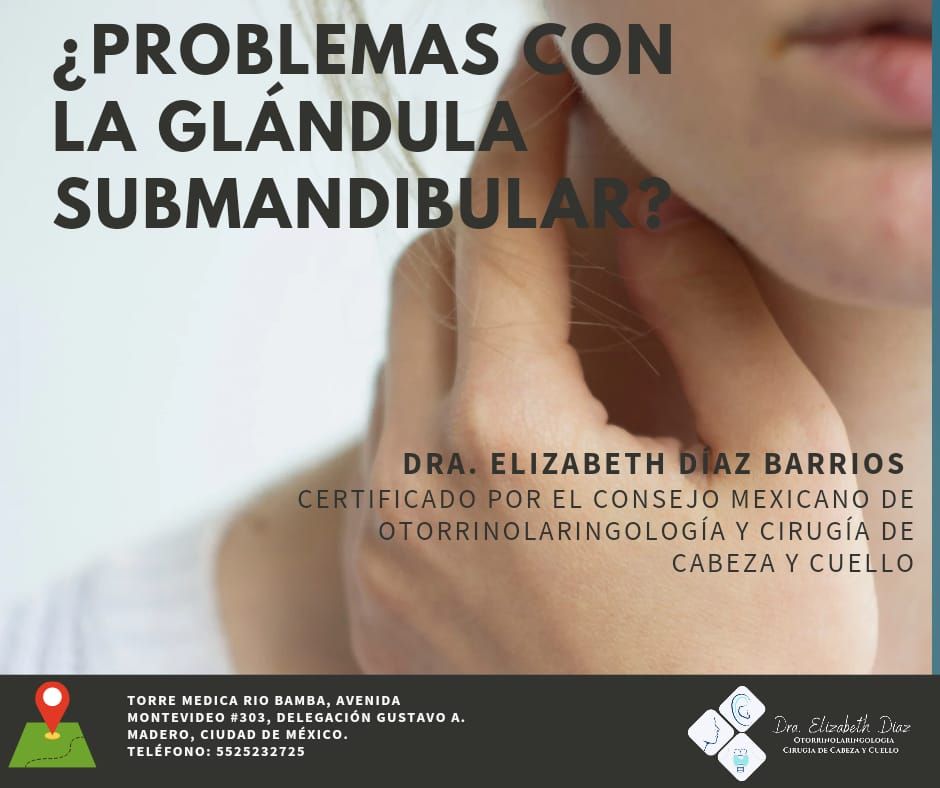 Elizabeth Diaz Barrios-11