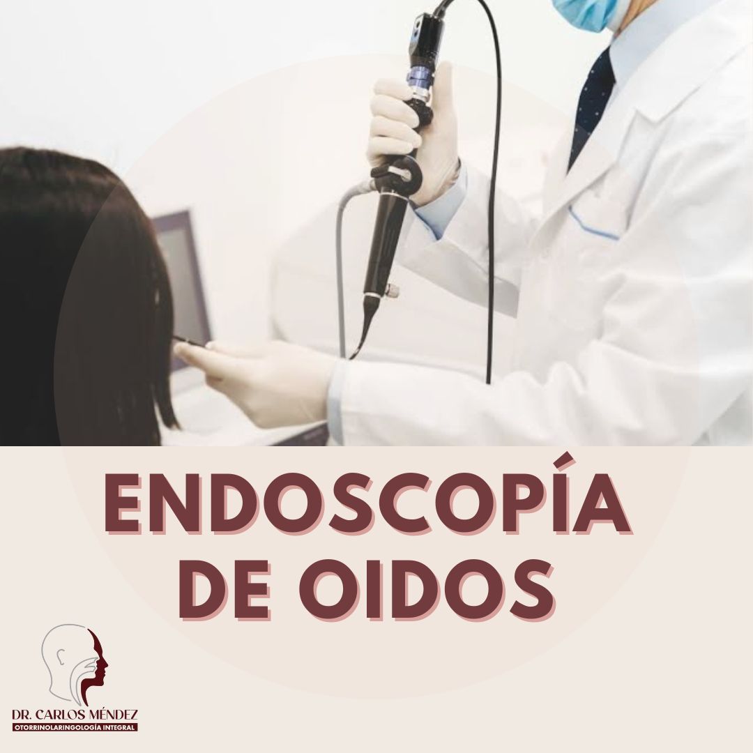 Juan Carlos Mendez Gutierrez-32