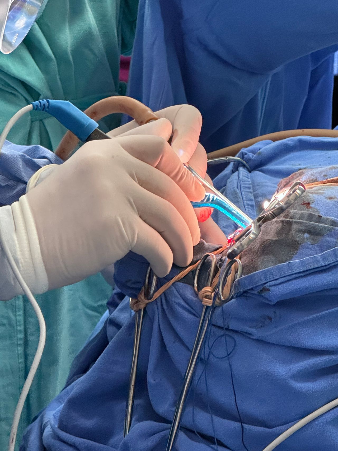 Alejandro Serrano Rubio-6