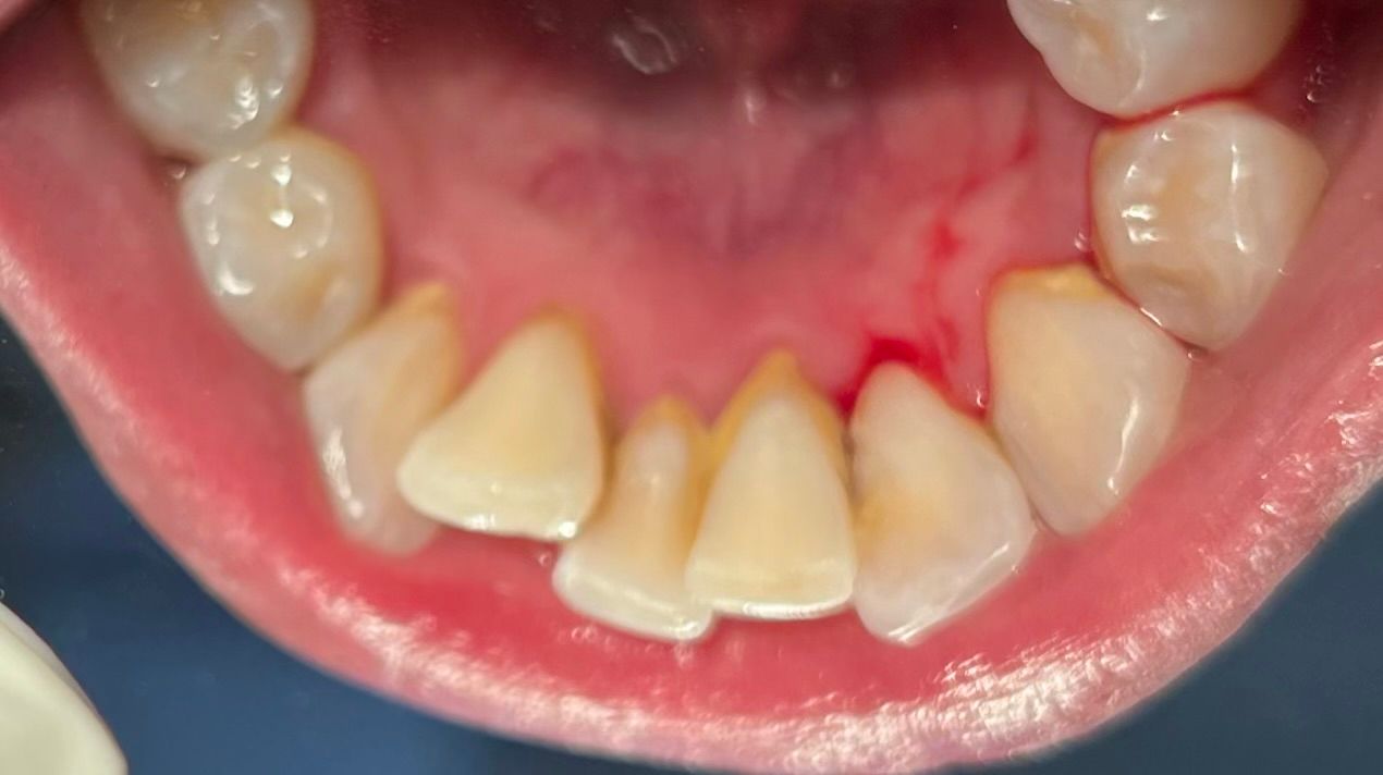 Sandra Carolina Cigala Martínez-18