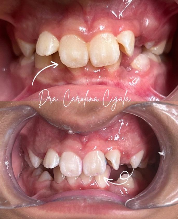 Sandra Carolina Cigala Martínez-24