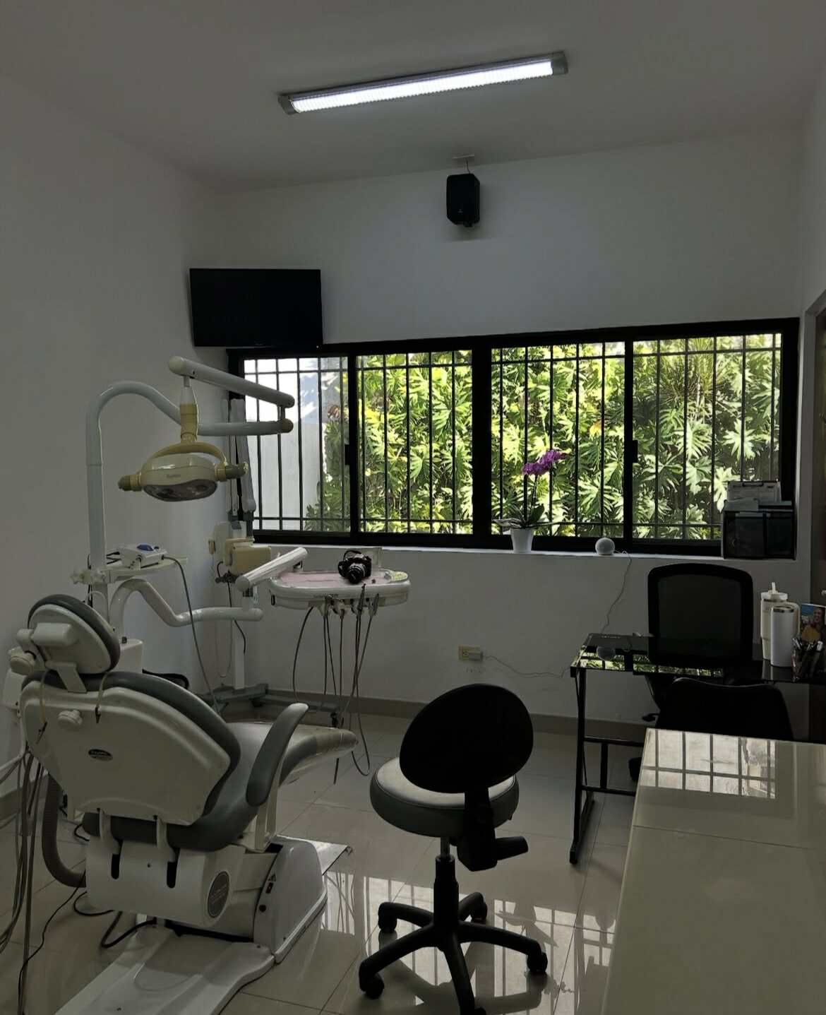 Adriana Ramos Solís-5