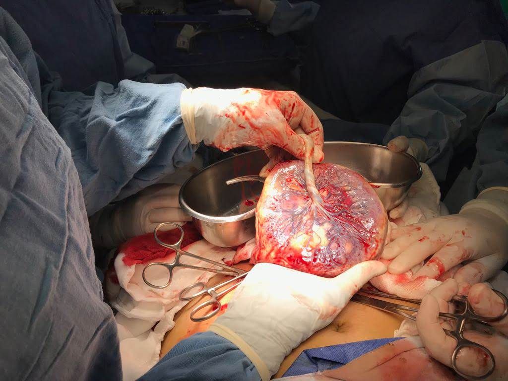 Marisol I. Alvarez Carrasco-23