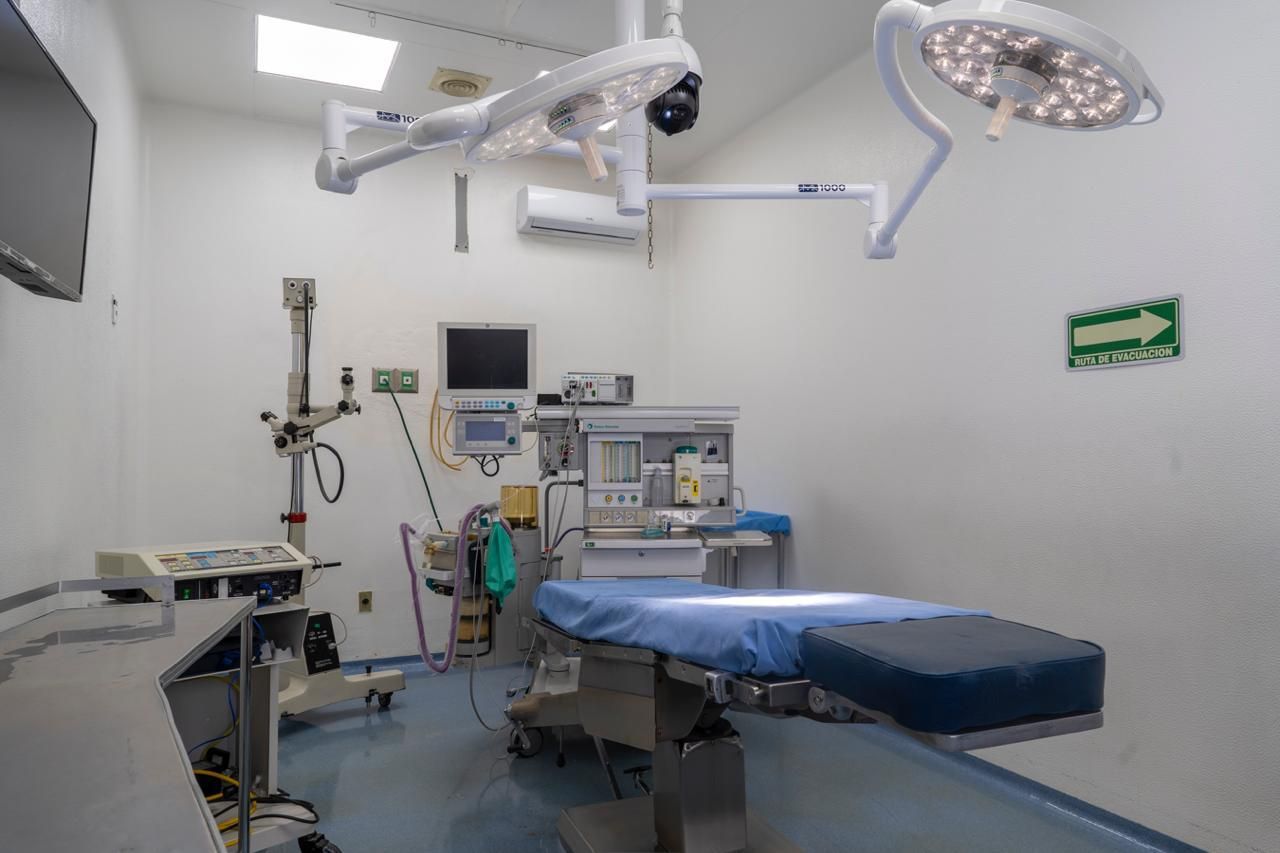 Brandon Gómez Torres-0