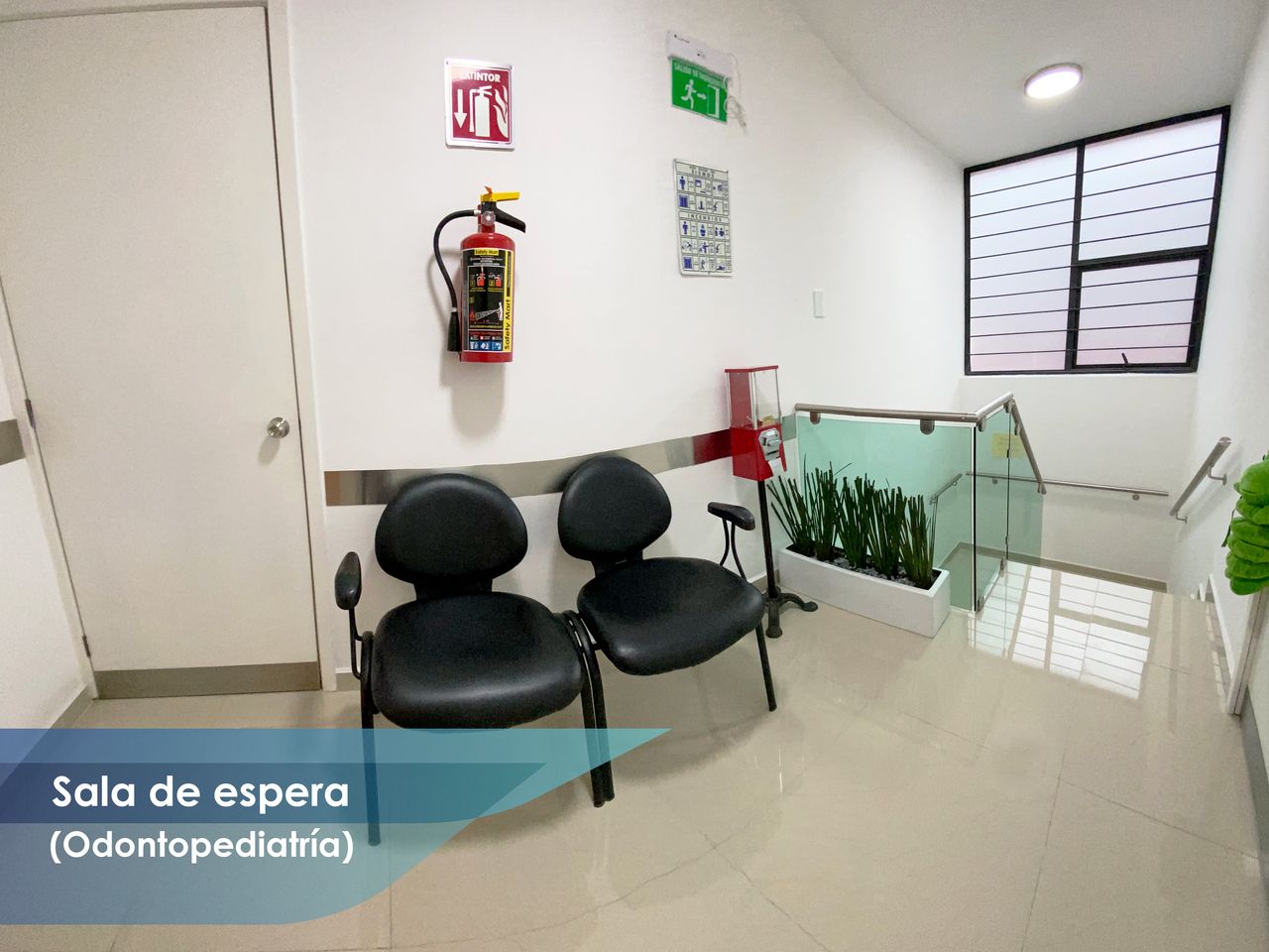 Pedro Jorge Téllez Rodríguez-8