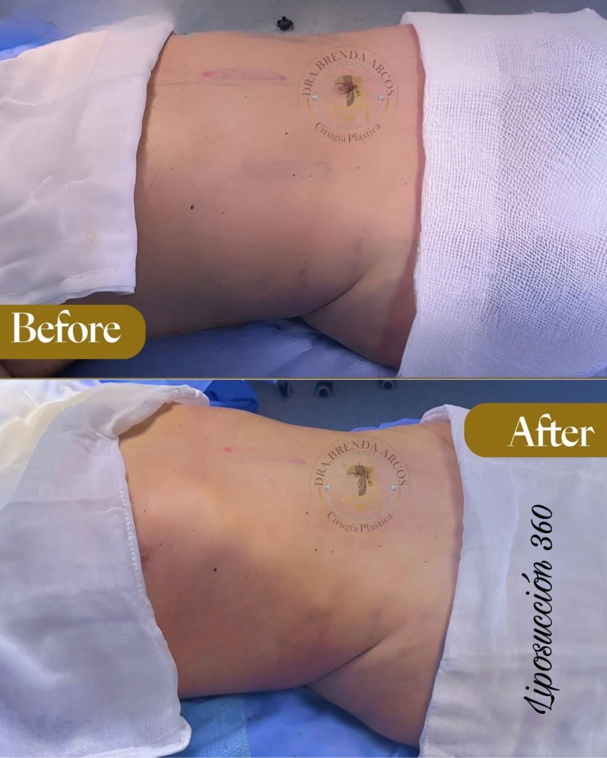 Brenda Arcos Vera-41