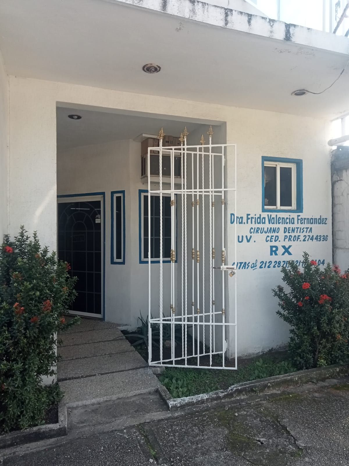 Frida Valencia Fernandez -5