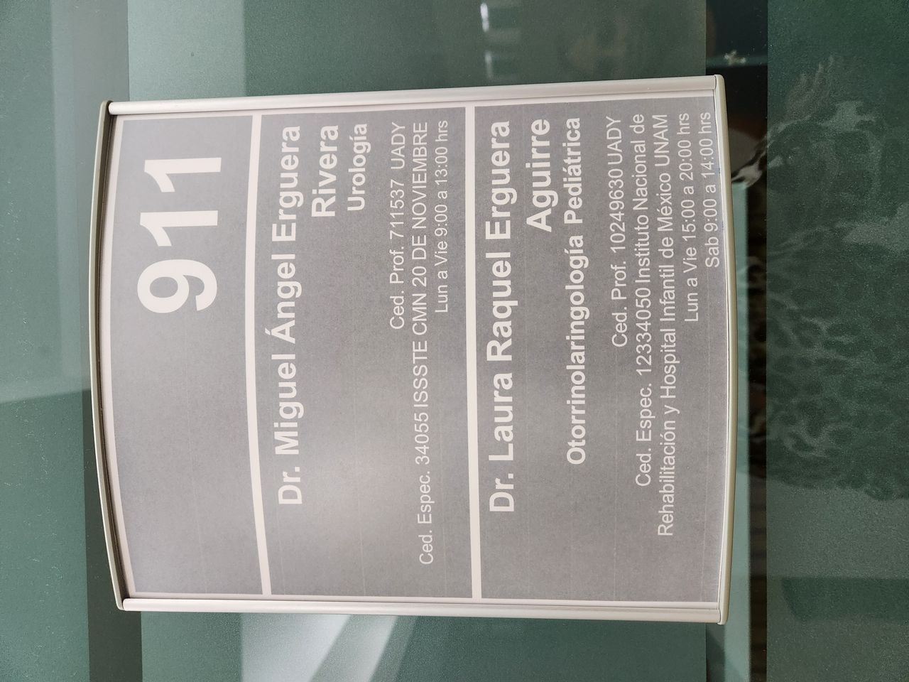 Laura Raquel Erguera Aguirre-2