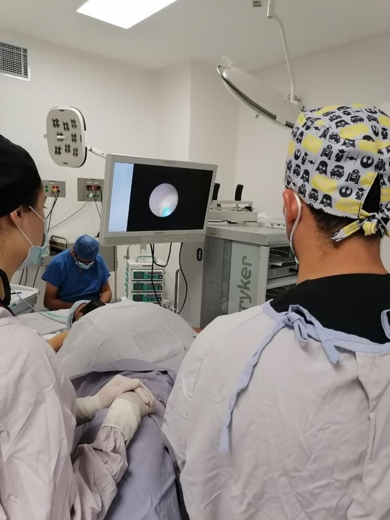 David Bonilla Lara-8